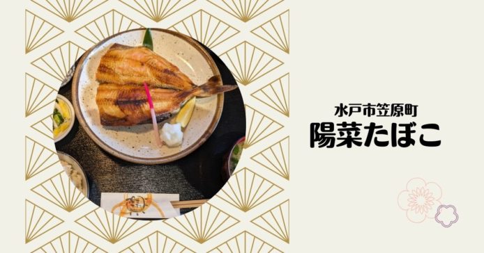 【水戸市】コスパ最高！ガッツリお魚定食を食べたい日は「陽菜たぼこ」